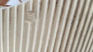 Sandali beige e bianchi con fiocco