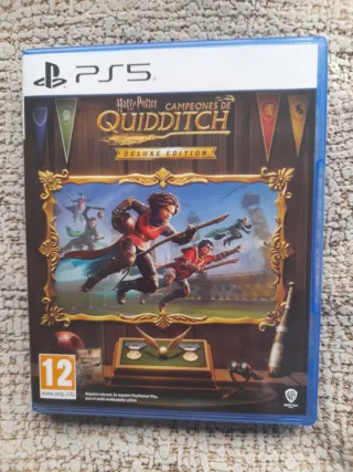 Harry Potter Campioni di Quidditch PS5