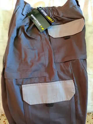 Pantalón de trabajo Work Team