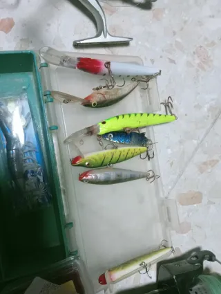 Equipo de Pesca: Carretes y Señuelos