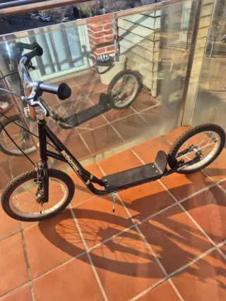 Patin de Ruedas Grandes Scooter