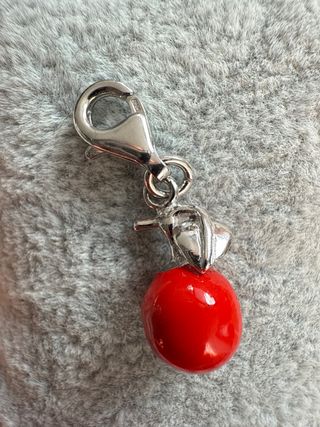 Charm Plata de ley 925