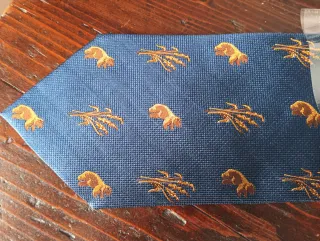 Cravatta Ermenegildo Zegna