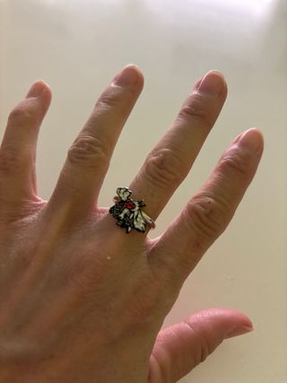 Anillo del gato  detalles rojos y plateados