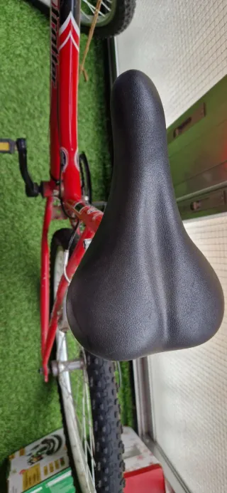 Bicicleta roja barra baja.