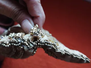 Bolso Bombonera Beige y Dorado