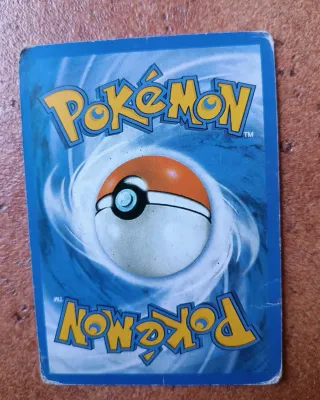 Reshiram Pokémon Carta 113/114