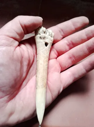 Punzón prehistórico hueso tallado