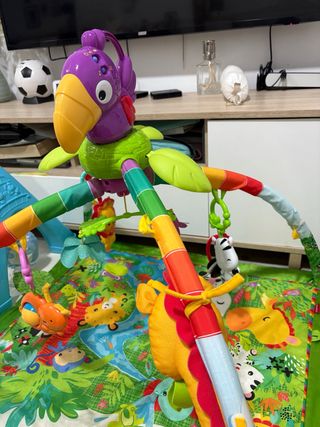 Gimnasio bebé con todos los complementos fisher P