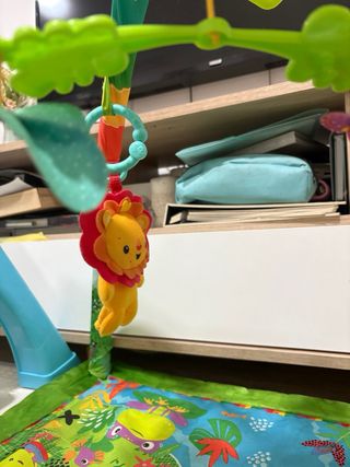 Gimnasio bebé con todos los complementos fisher P