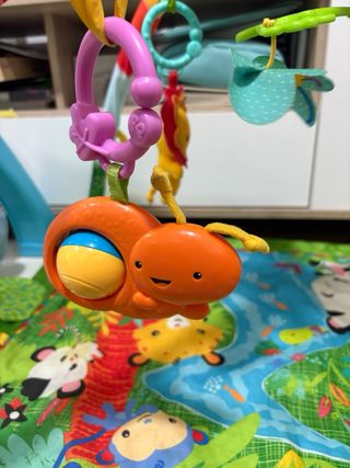 Gimnasio bebé con todos los complementos fisher P