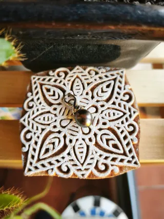 Colgante Oro Perla Negra Tahití