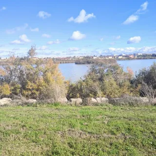 Lote Barbies Vintage Anni '90