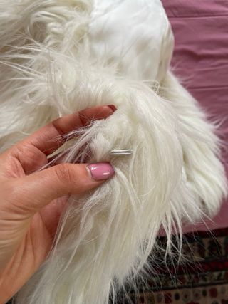 Cappotto Zara pelliccia sintetica bianca