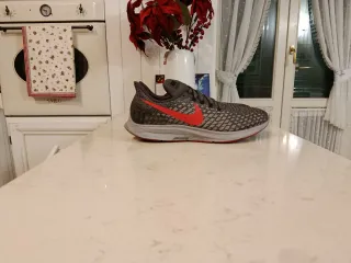 N. 2 Nike Zoom Pegasus