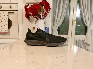 N. 2 Nike Zoom Pegasus