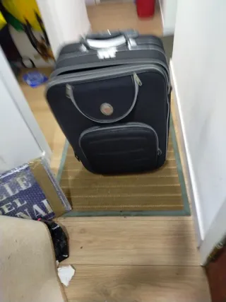 Maleta trailer26 kg70×45×26