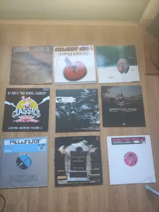 Lote 9 Vinilos Hardcore