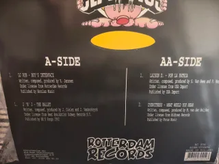 Lote 9 Vinilos Hardcore