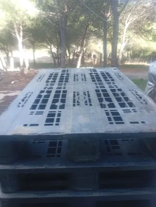 Regalo: 15 Palets Europeos de Plástico