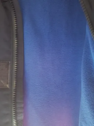 Chaqueta Hollister Azul