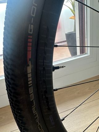 Fulcrum Rapid RED CULT Carbon Ruedas