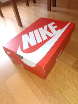 Nike Court Vision LO Blanco/Gris