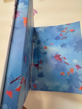 Diario con contraseña Frozen 2