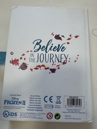 Diario con contraseña Frozen 2
