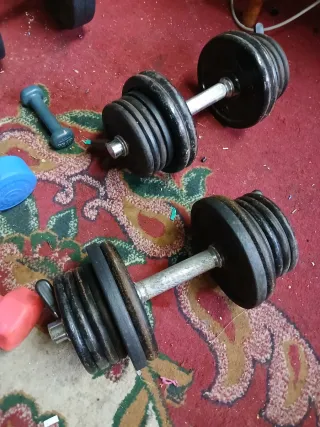 Pesas Gimnasio Varias ( hay entre 70 y 80 kg)