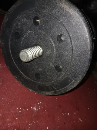 Pesas Gimnasio Varias ( hay entre 70 y 80 kg)