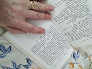 El zarapito plateado