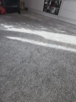 Tappeto 170x240 grigio a pelo corto