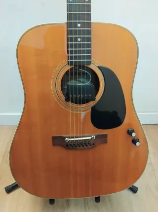 Epiphone 12 cuerdas vintage