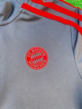 Sudadera de entrenamiento Adidas FC Bayern Munich