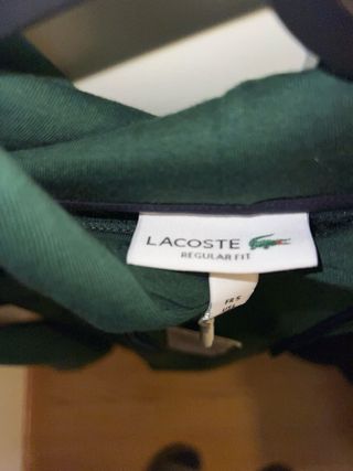 Sudadera Lacoste Verde