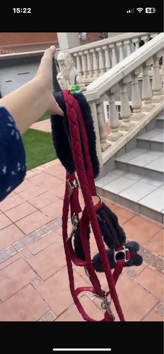 Cabezada de cuadra Hípica