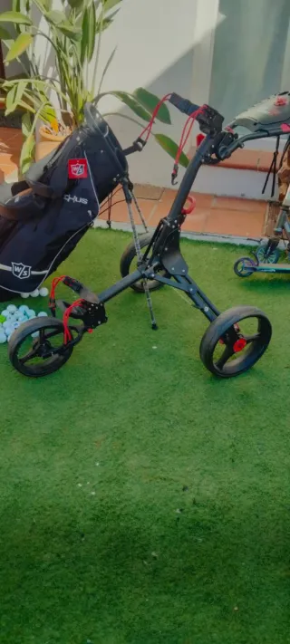 Lote Golf: Bolsa y carro