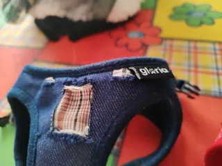 2 pettorine cane piccolissime