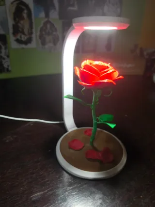 Lámpara Rosa Encantada Bella y Bestia