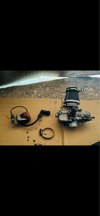 Motor Bultaco Alpina 175cc (CREO!!!!)