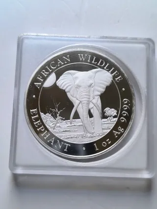 Onza plata somalia 2025