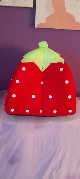 Casita para mascotas fresa