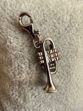 Charm Plata de ley 925