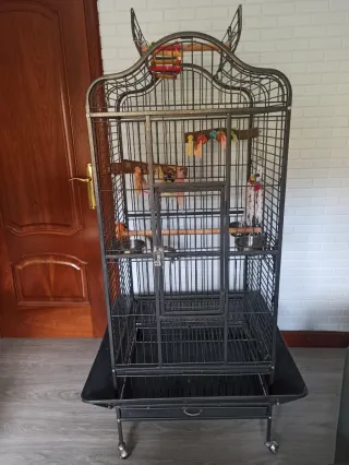 Jaula para loros grande y jaula de tranporte