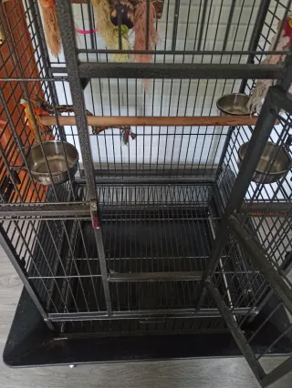 Jaula para loros grande y jaula de tranporte