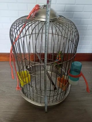Jaula para loros grande y jaula de tranporte