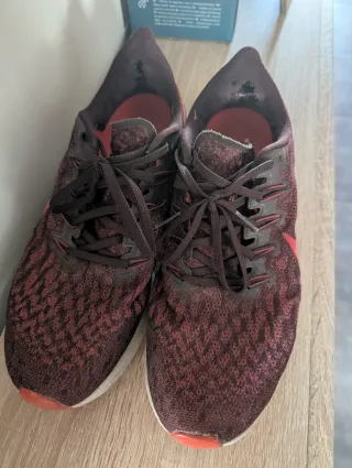 Nike Pegasus Zapatillas Running T 42.5/27.5cm