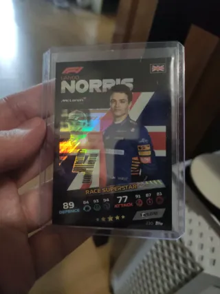 Carta Lando Norris F1 McLaren 2023