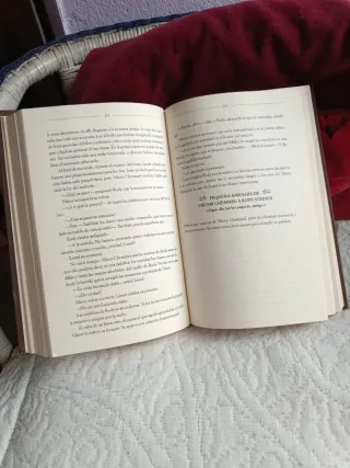 La ladrona de libros